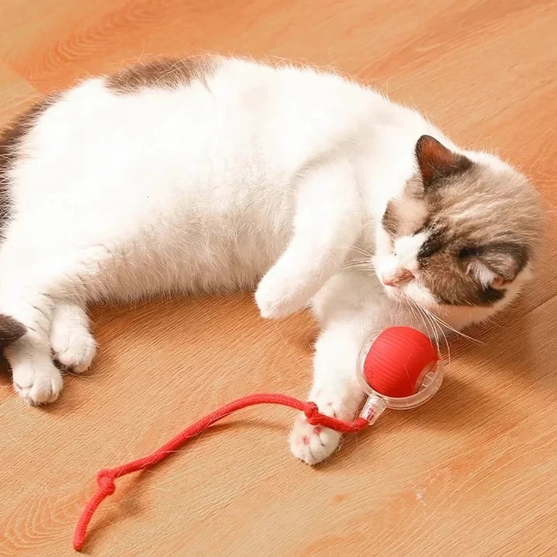Interactive Cat Teaser Ball – With Flexible Tail