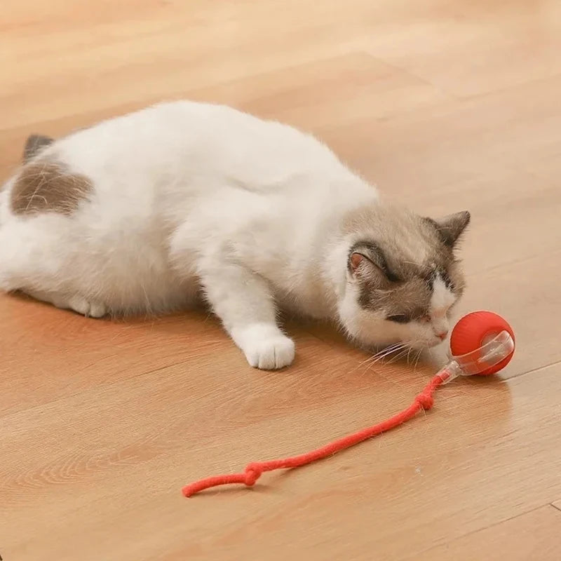 Interactive Cat Teaser Ball – With Flexible Tail
