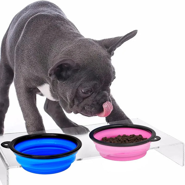 Portable 2-in-1 Pet Travel Bowl