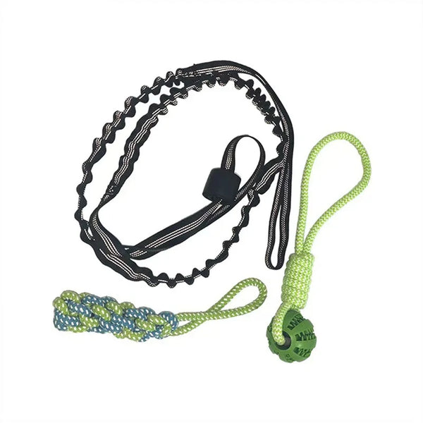 Hanging Tug-of-War Toy for Dogs