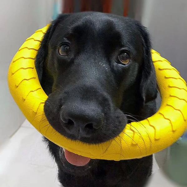 Dog Chew & Indestructible Fetch Ring – 17.5cm Durable Play Toy