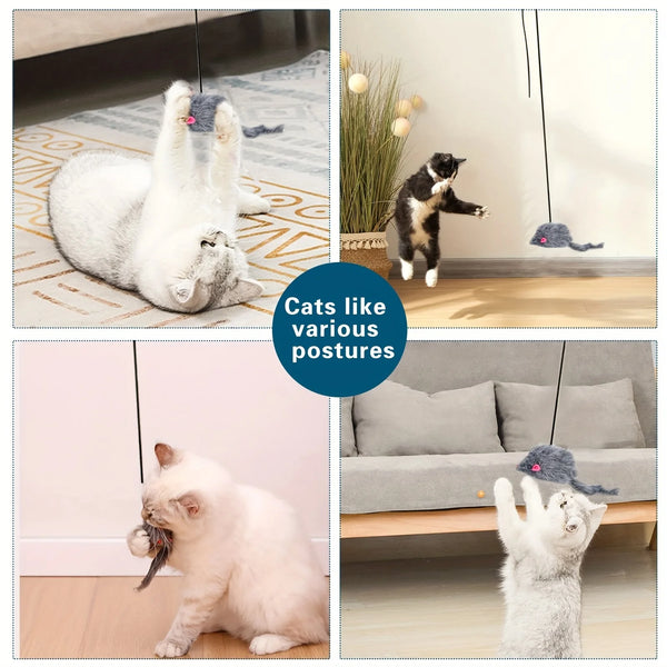 Interactive Door Hanging Cat Toy