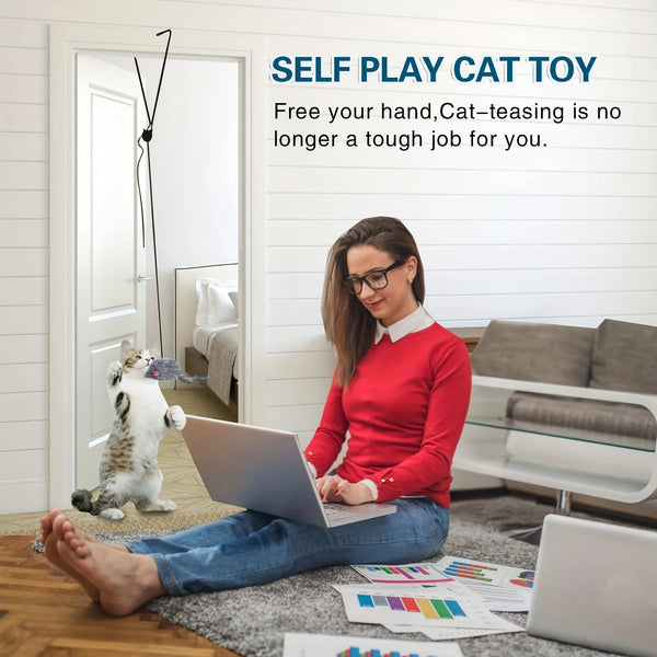 Interactive Door Hanging Cat Toy