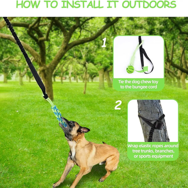 Hanging Tug-of-War Toy for Dogs