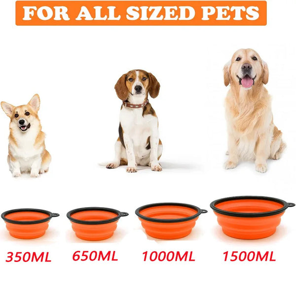 Portable 2-in-1 Pet Travel Bowl