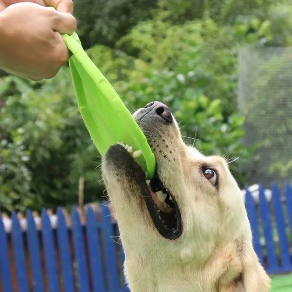 Durable Dog Flying Disc