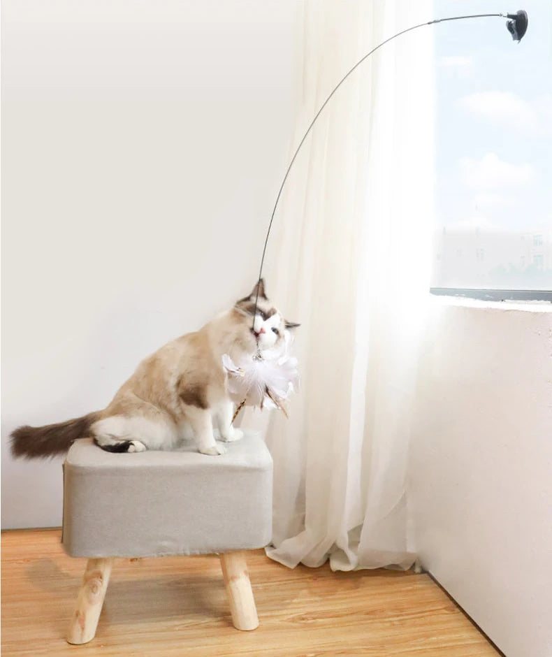 Interactive Cat Bird Toy – Handheld & Suction Cup Options