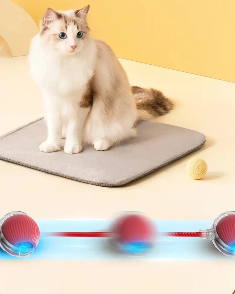Interactive Cat Teaser Ball – With Flexible Tail