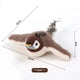  Sparrow