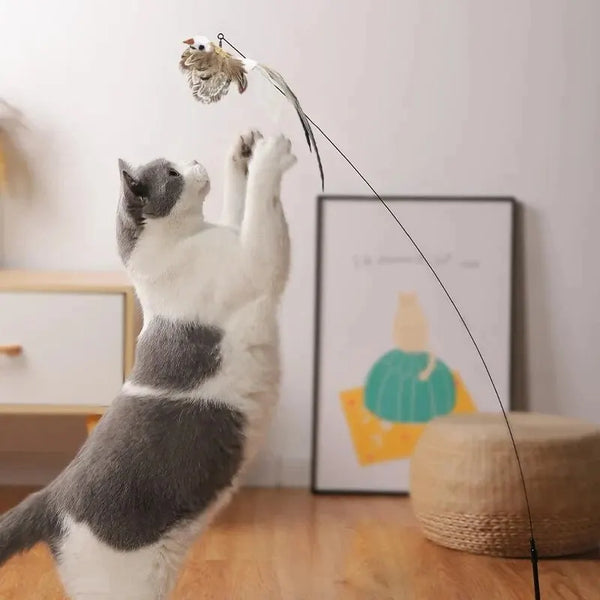 Interactive Cat Bird Toy – Handheld & Suction Cup Options