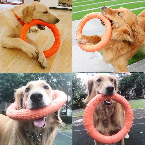 Dog Chew & Indestructible Fetch Ring – 17.5cm Durable Play Toy