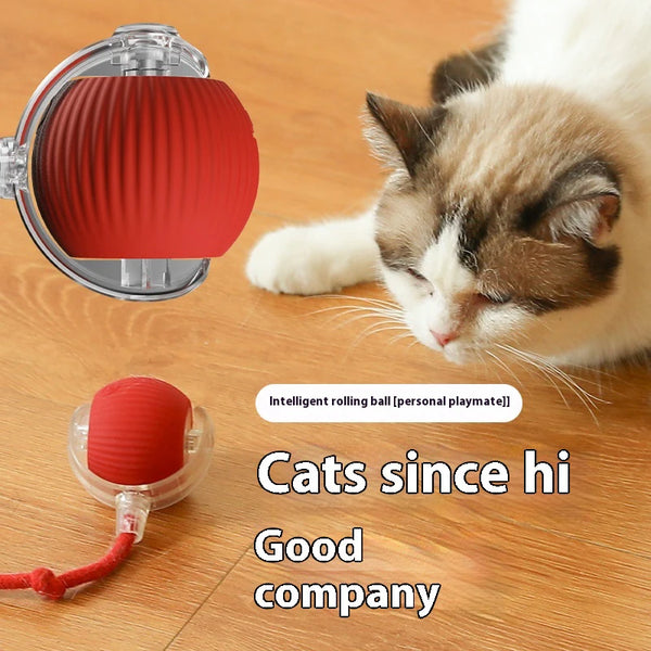 Interactive Cat Teaser Ball – With Flexible Tail
