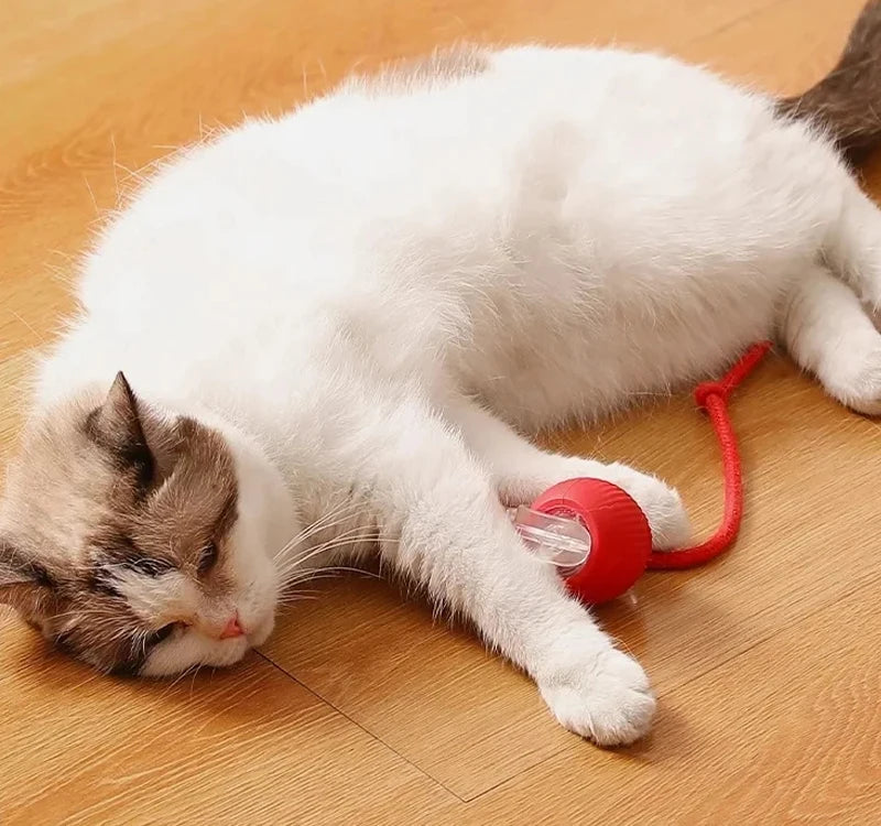 Interactive Cat Teaser Ball – With Flexible Tail