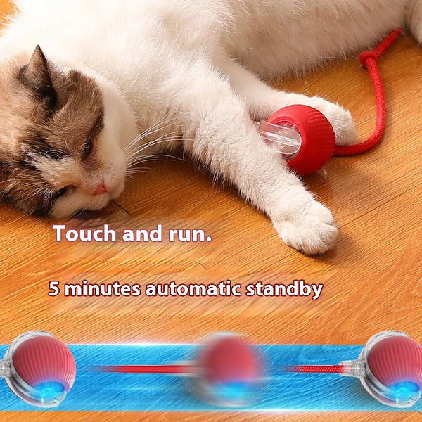 Interactive Cat Teaser Ball – With Flexible Tail