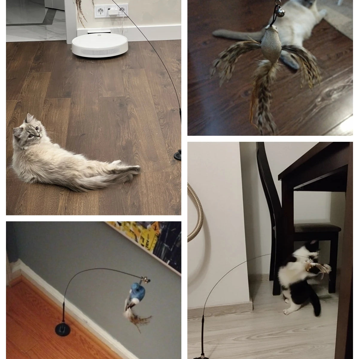 Interactive Cat Bird Toy – Handheld & Suction Cup Options