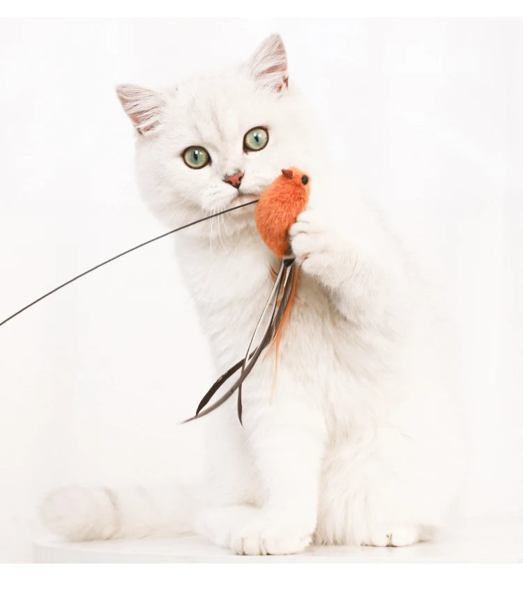 Interactive Cat Bird Toy – Handheld & Suction Cup Options