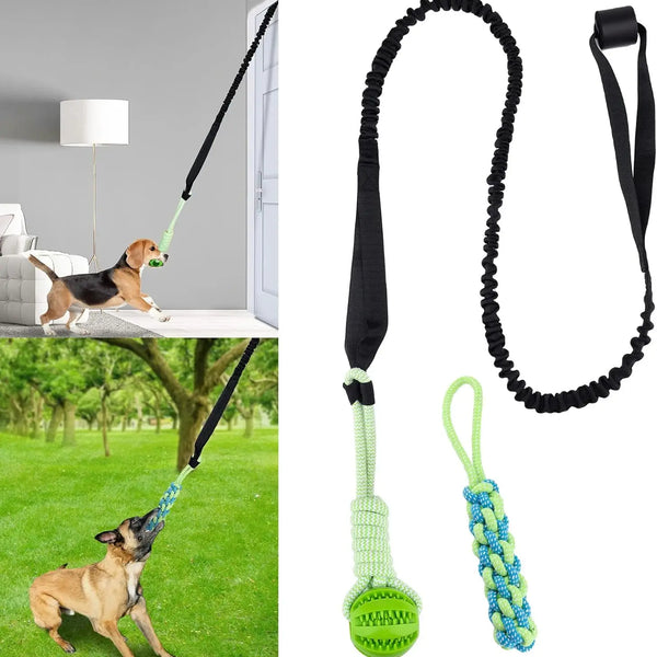 Hanging Tug-of-War Toy for Dogs