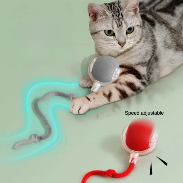 Interactive Cat Teaser Ball – With Flexible Tail