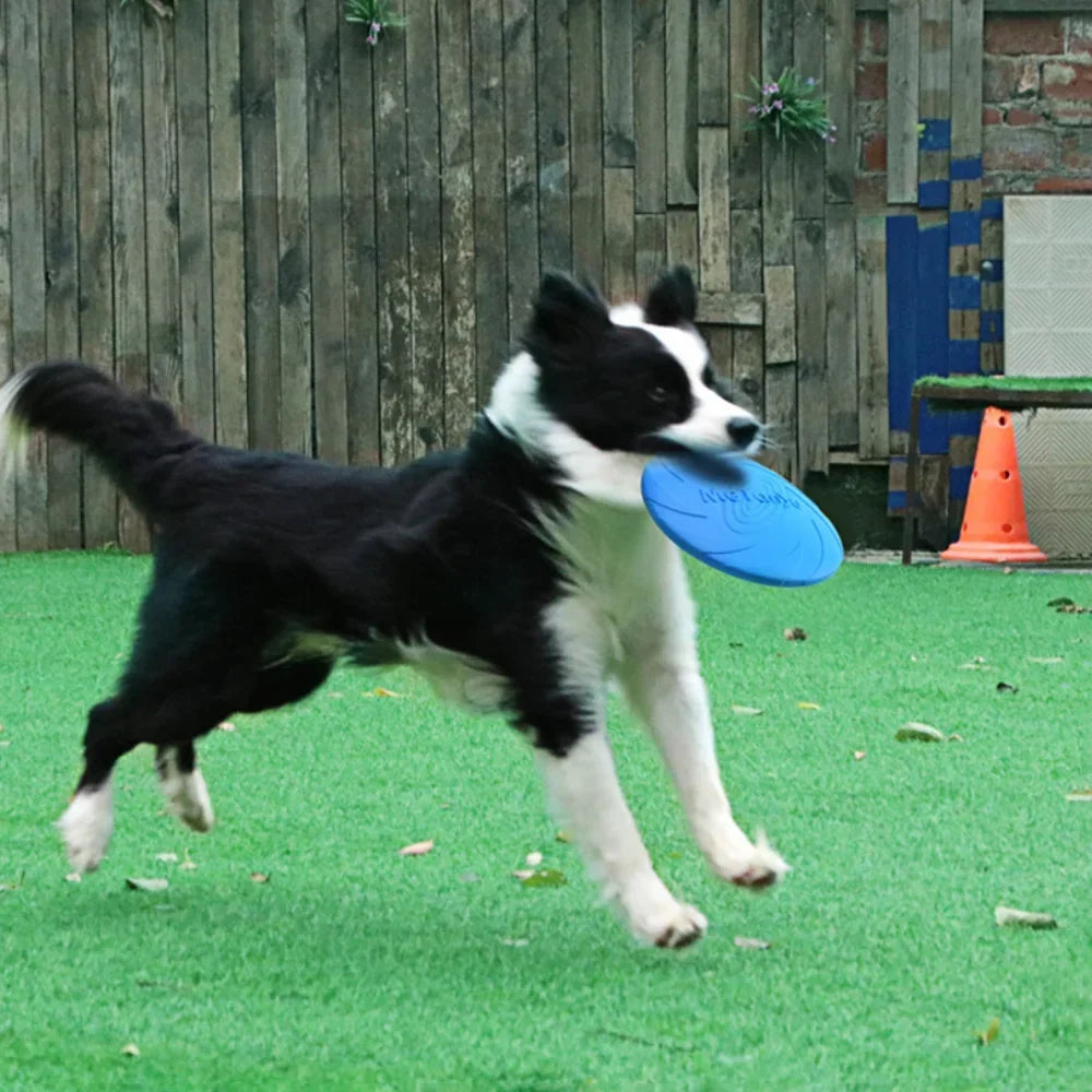 Durable Dog Flying Disc