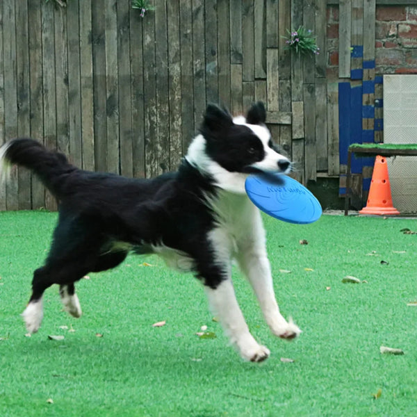 Durable Dog Flying Disc